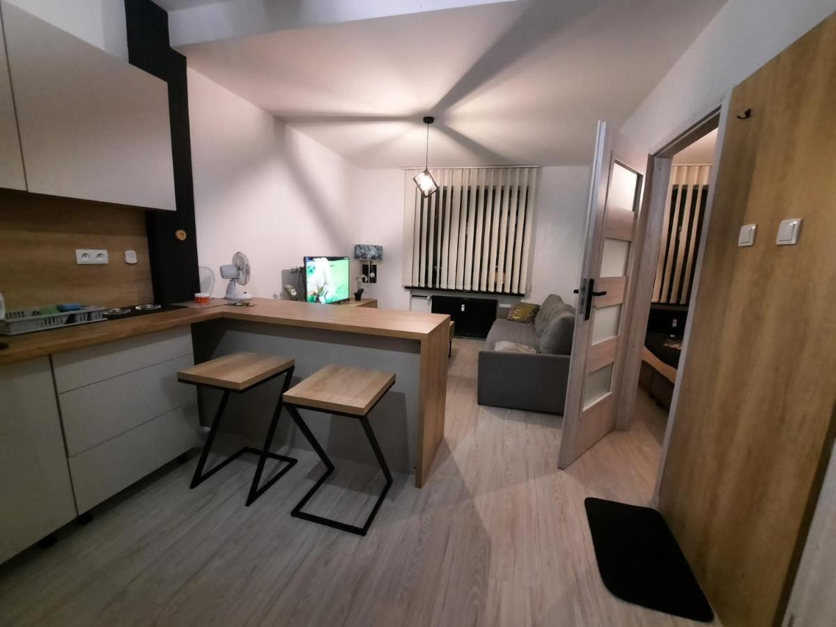 Aparthouse Zegrze แซรอคสก์ ภายนอก รูปภาพ